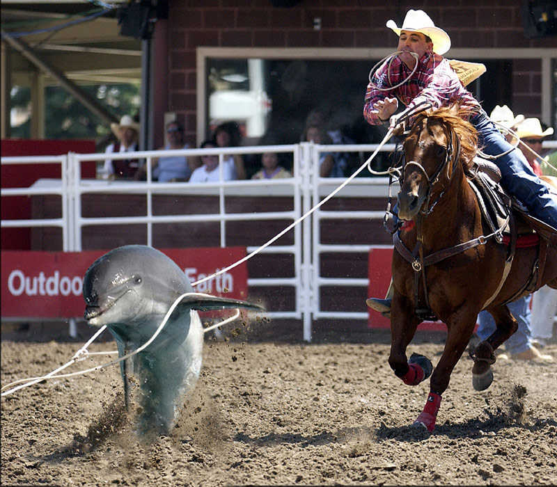 Photoshop-Design von hotweaselsoup für DesignCrowd (Community Contests) | Design #9099468