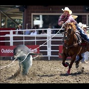 Photoshop Design by hotweaselsoup