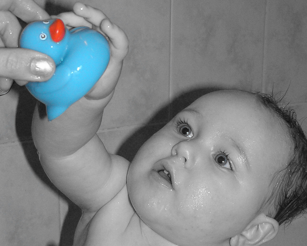 Fotografía por angellivia para DesignCrowd (Community Contests) | Diseño #9099181