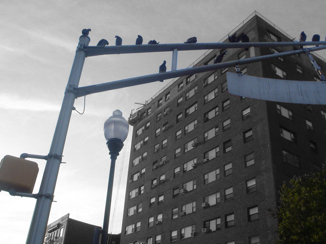 Fotografie von AlinaB7 für DesignCrowd (Community Contests) | Design #9099206