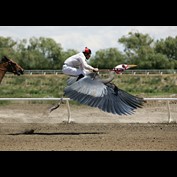 Photoshop Design by a17rwk