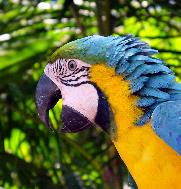 Photography by AussieBluey for DesignCrowd (Community Contests) | Design #9100942