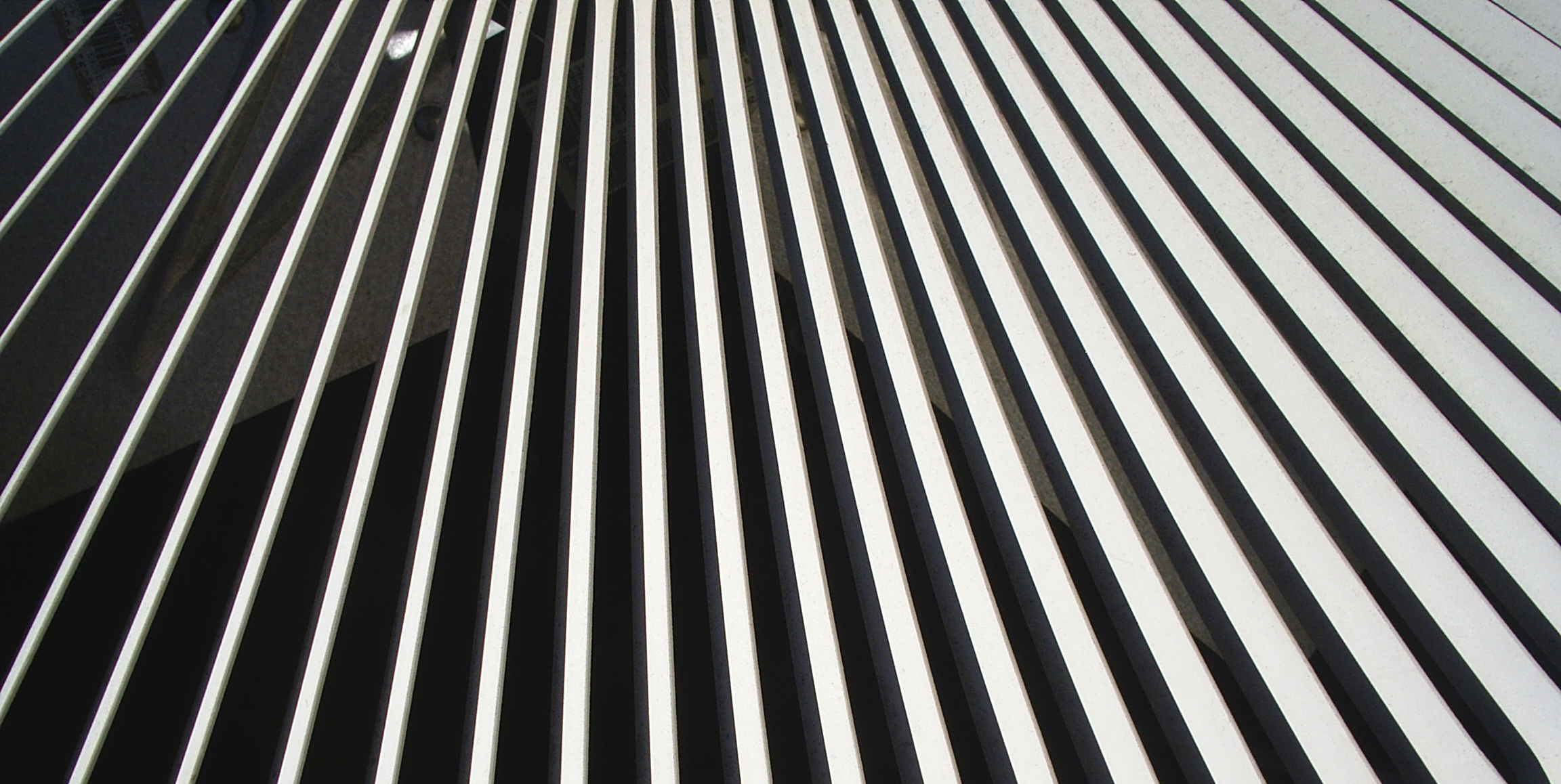 Photographie par cicisunflower pour DesignCrowd (Community Contests) | Design #9086673