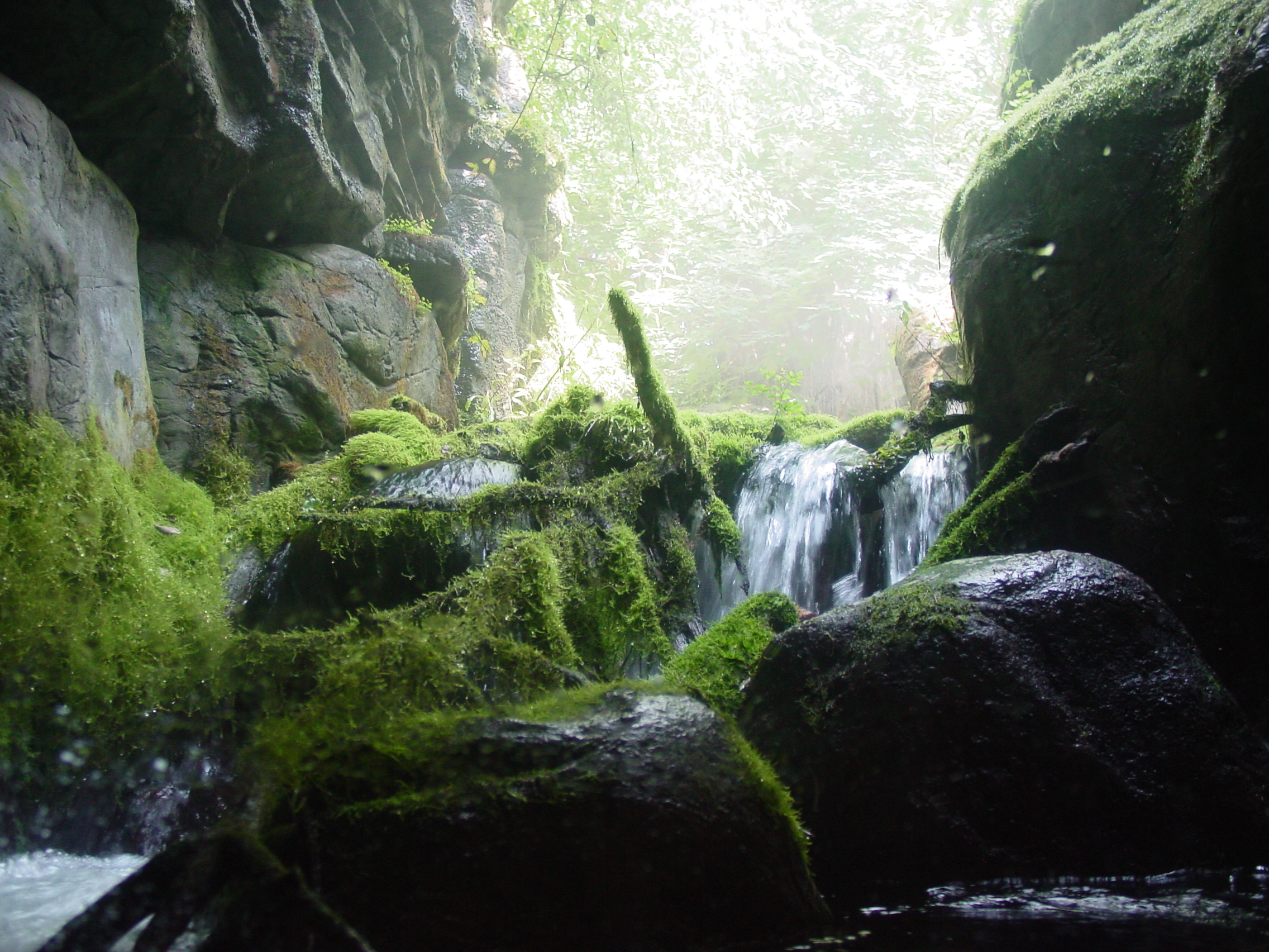 Photography by soulinferno13 for DesignCrowd (Community Contests) | Design #9085508