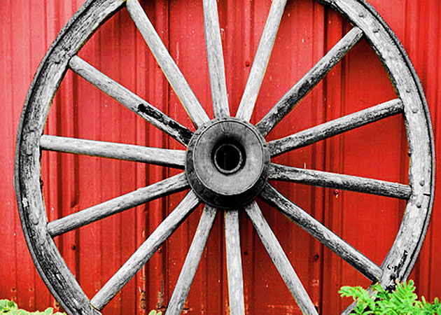 Photography by psyclone for DesignCrowd (Community Contests) | Design #9099283