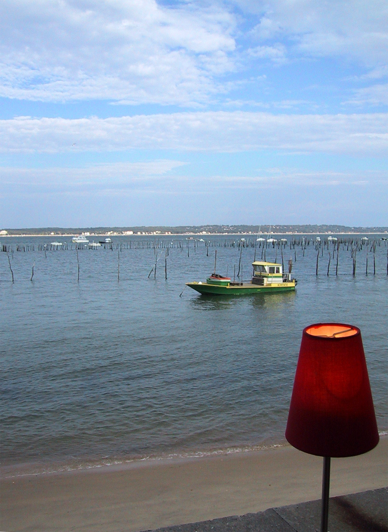 Photography by brunewz for DesignCrowd (Community Contests) | Design #9085499