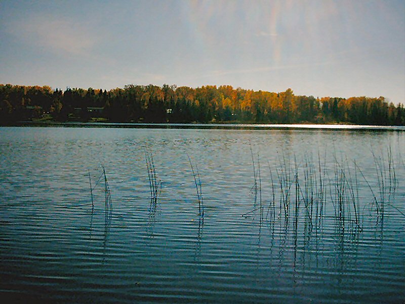 Photographie par niibiishan pour DesignCrowd (Community Contests) | Design #9085568