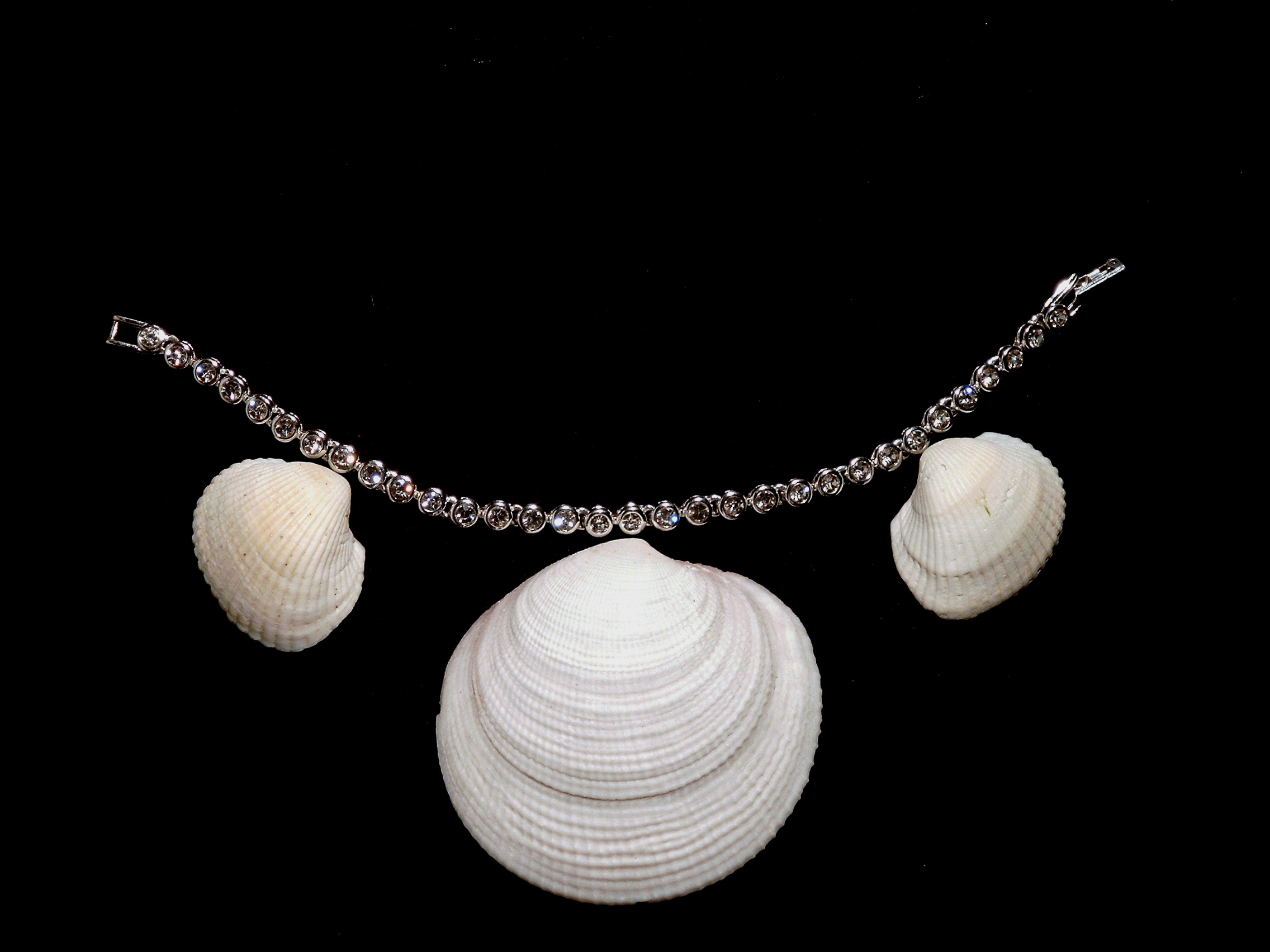 Photography by stefan1979 for DesignCrowd (Community Contests) | Design #9095836