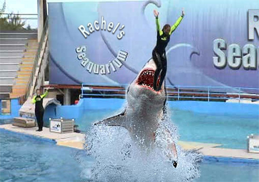 Diseño de Photoshop por fxchick para DesignCrowd (Community Contests) | Diseño #9095115