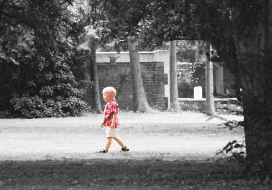 Photographie par StevieM pour DesignCrowd (Community Contests) | Design #9099268