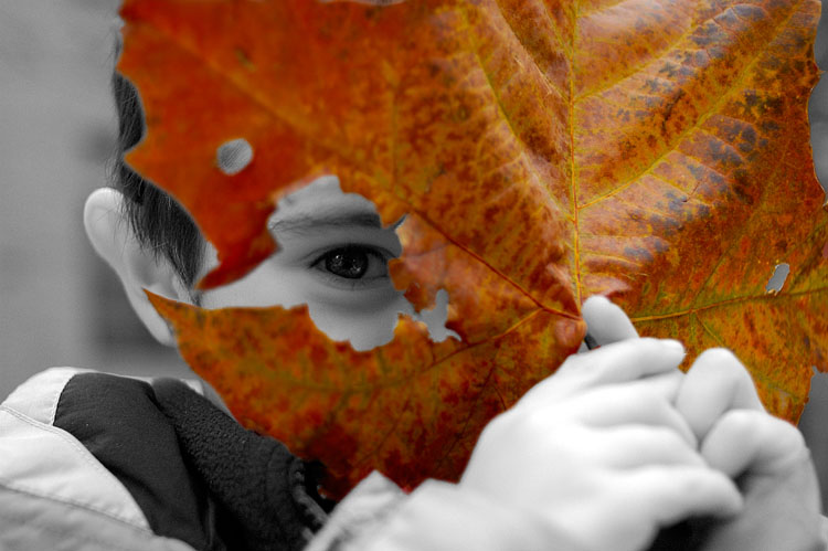 Photography by astrodash for DesignCrowd (Community Contests) | Design #9099223