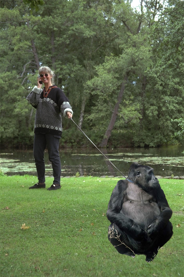 Photoshop Design by Cursed for DesignCrowd (Community Contests) | Design #9095306