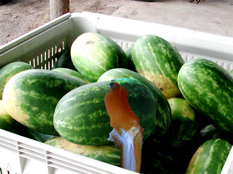 Design Photoshop par godzillatemple pour DesignCrowd (Community Contests) | Design #9086389