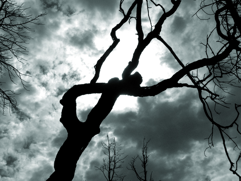 Photography by jasoned for DesignCrowd (Community Contests) | Design #9085137