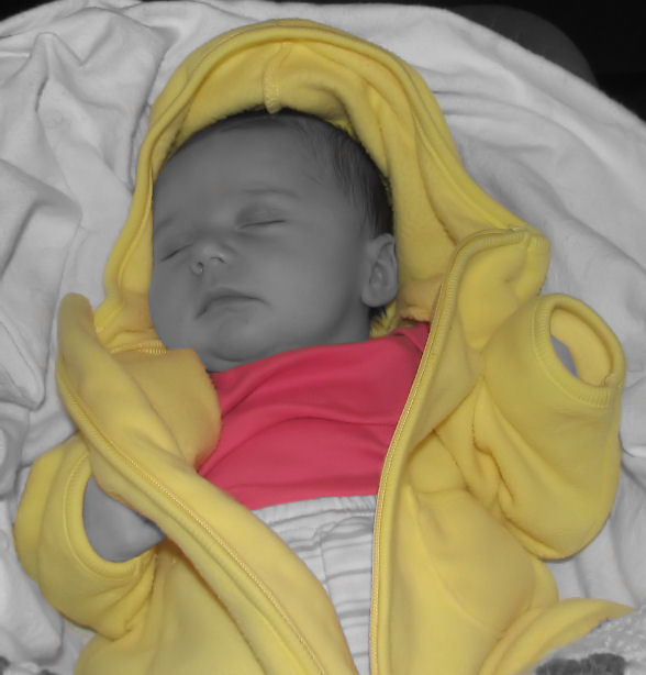 Fotografie von jasduc für DesignCrowd (Community Contests) | Design #9099500