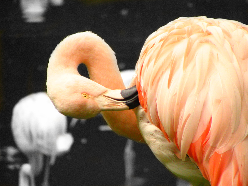 Photographie par piotrek pour DesignCrowd (Community Contests) | Design #9099350