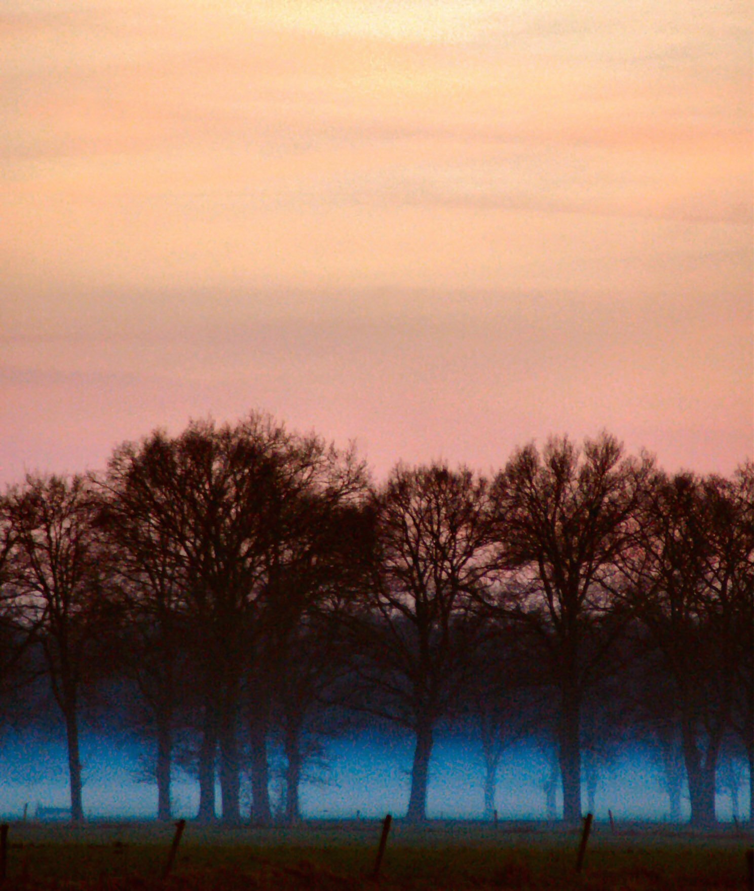 Fotografía por Marian para DesignCrowd (Community Contests) | Diseño #9085244