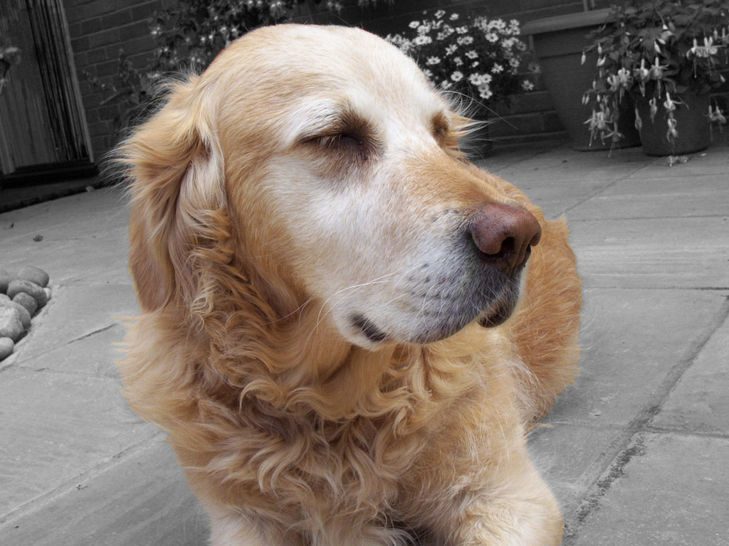 Fotografie von cycoze für DesignCrowd (Community Contests) | Design #9099507