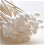 Photography by squeakers