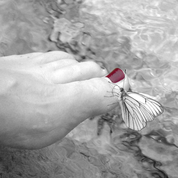 Photography by supertere for DesignCrowd (Community Contests) | Design #9099454