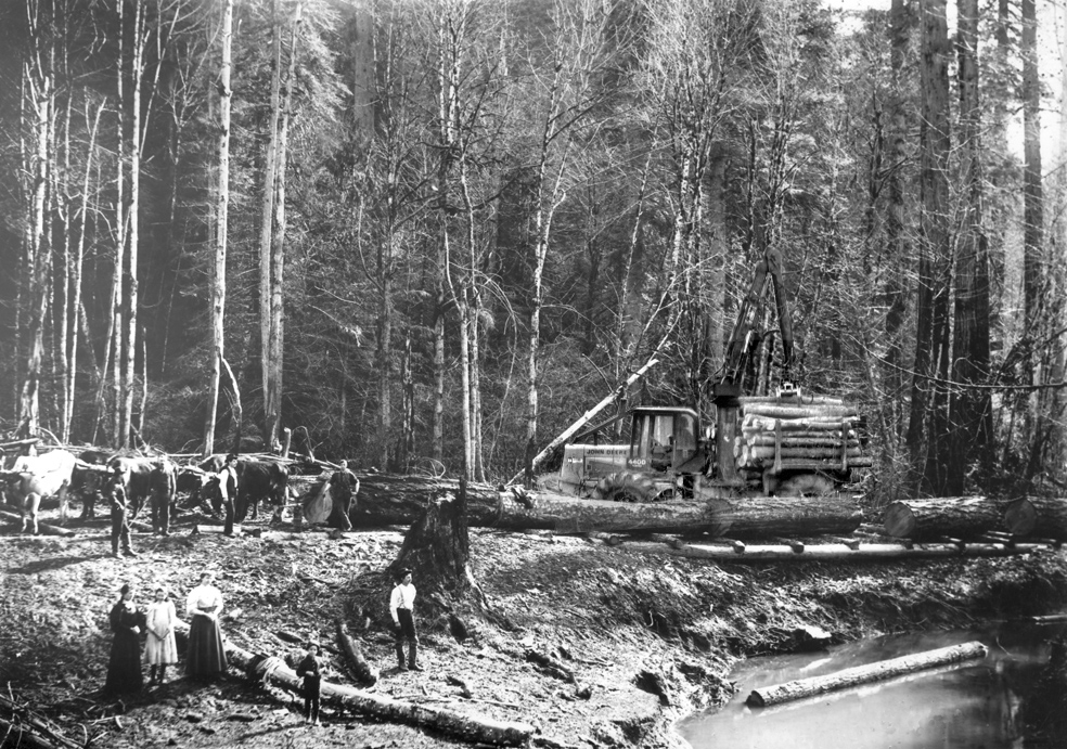 Photoshop Design by Mirado for DesignCrowd (Community Contests) | Design #9100708