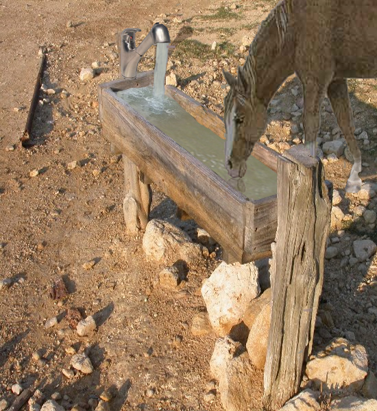 Diseño de Photoshop por msfrigyfrog para DesignCrowd (Community Contests) | Diseño #9100919