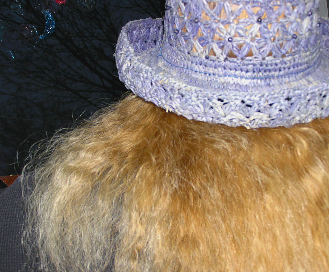 Photographie par klxner pour DesignCrowd (Community Contests) | Design #9074346