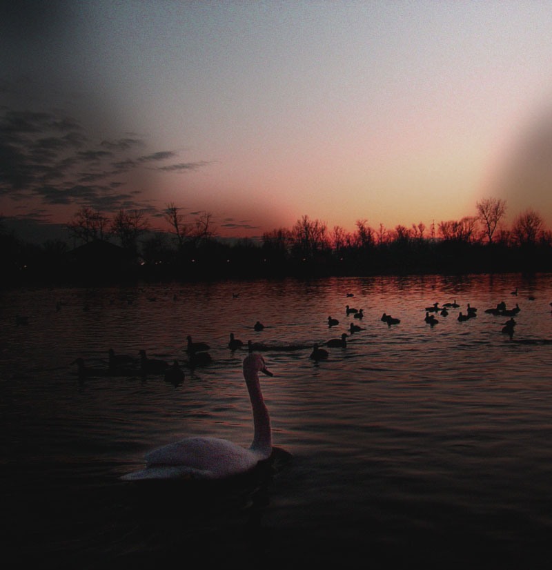 Photography by cccvrcak for DesignCrowd (Community Contests) | Design #9085332