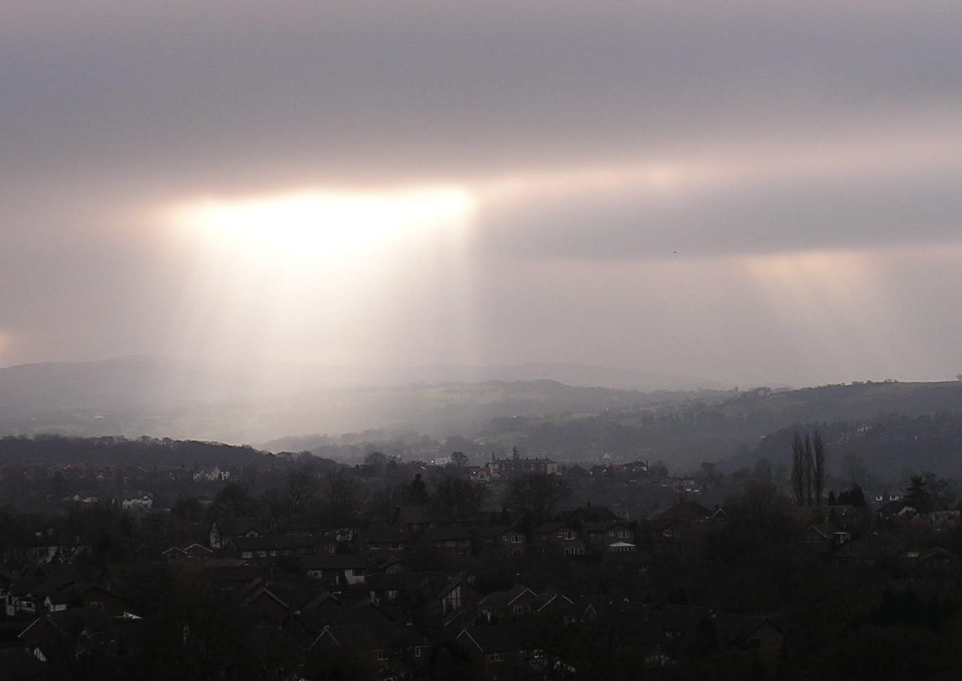 Fotografie von angellivia für DesignCrowd (Community Contests) | Design #9085297