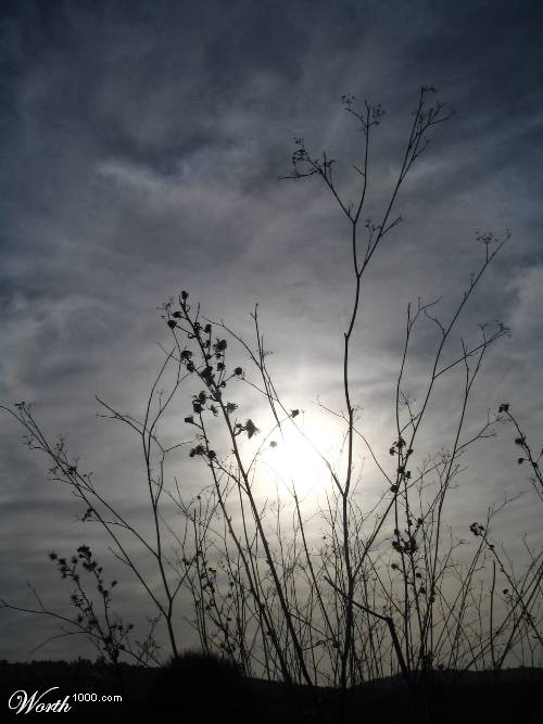 Photography by ivanico for DesignCrowd (Community Contests) | Design #9085356