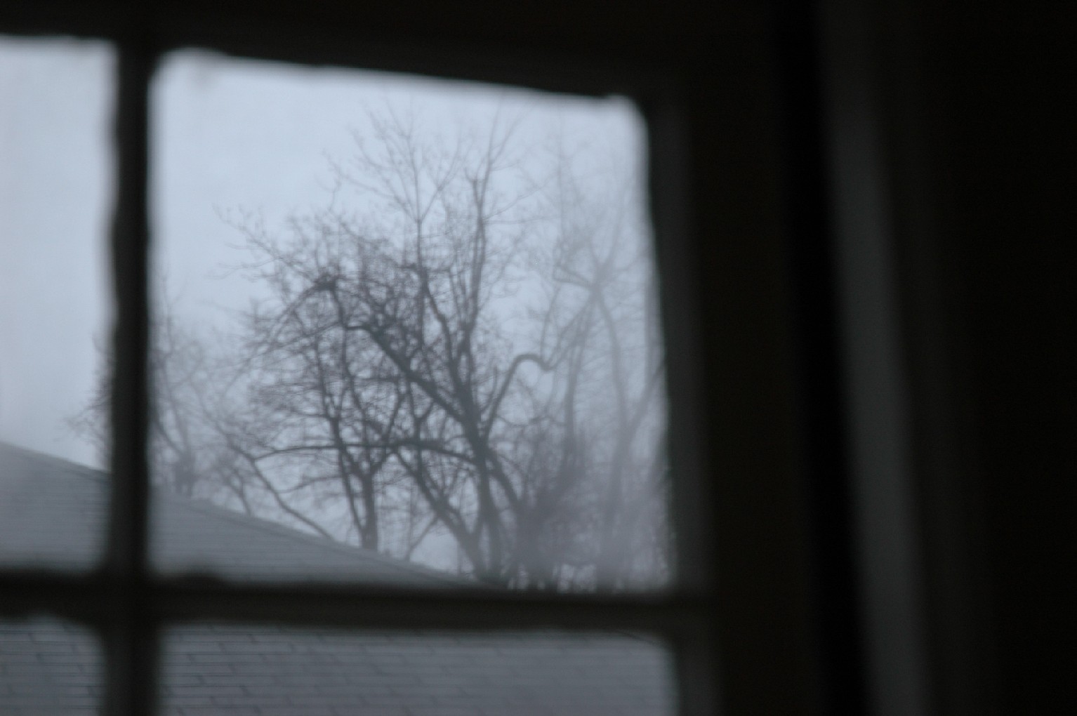 Photography by Natalie817 for DesignCrowd (Community Contests) | Design #9085349