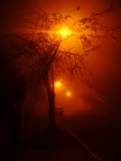 Fotografie von shermanio für DesignCrowd (Community Contests) | Design #9085304