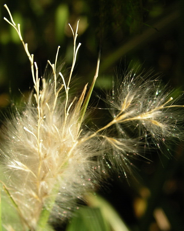 Photography by mzmzmzmz for DesignCrowd (Community Contests) | Design #9084440