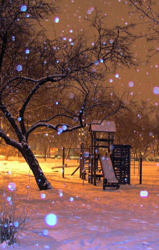 Photography by mzmzmzmz for DesignCrowd (Community Contests) | Design #9085314