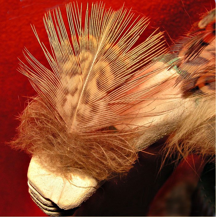 Fotografía por lumoto para DesignCrowd (Community Contests) | Diseño #9084480