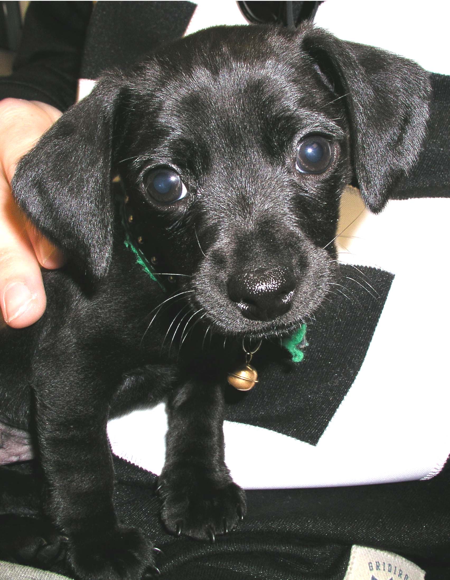 Photography by UPUPUP for DesignCrowd (Community Contests) | Design #9084476