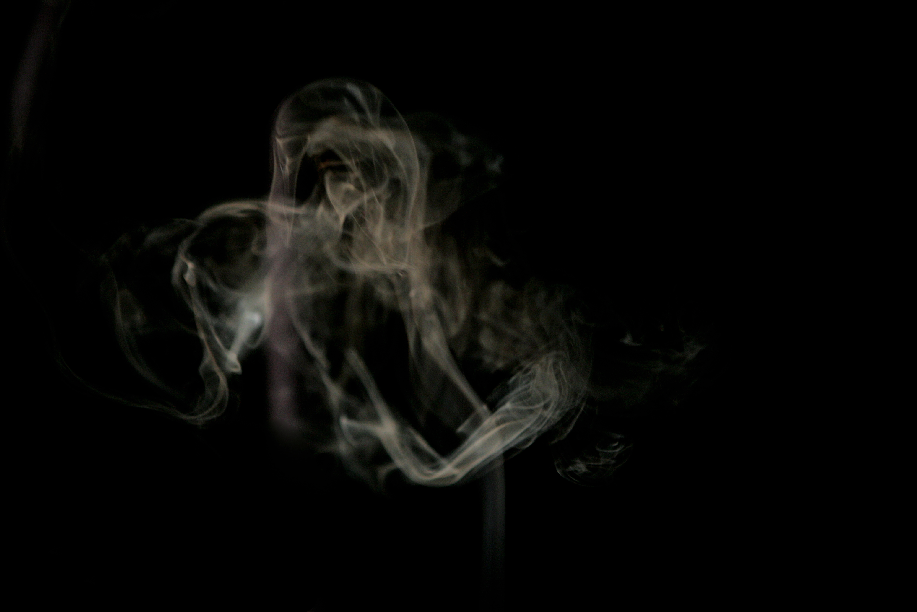 Photography by sheracer for DesignCrowd (Community Contests) | Design #9085335