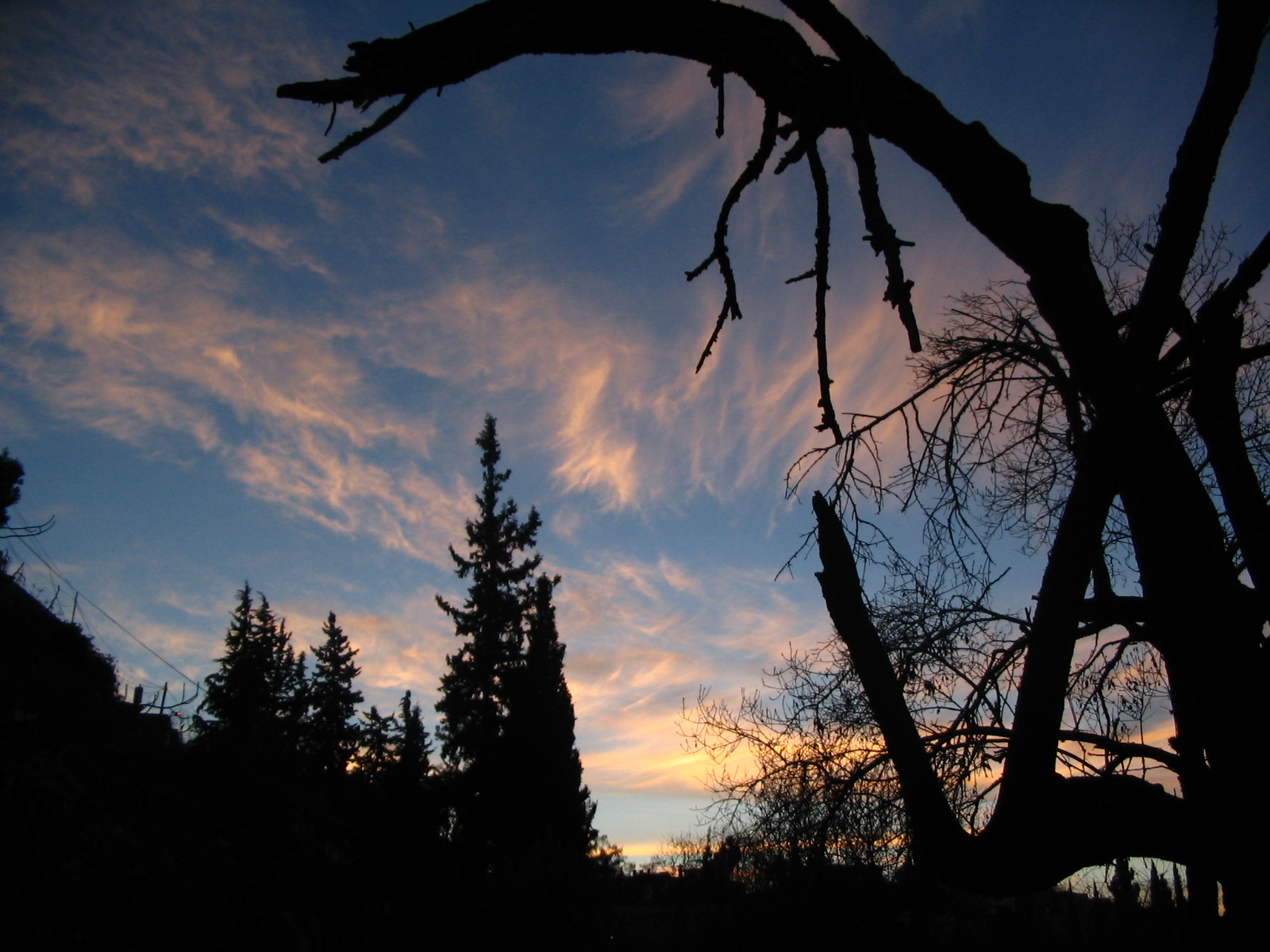 Fotografía por ivanico para DesignCrowd (Community Contests) | Diseño #9097736