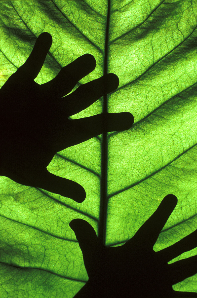 Photography by oteimages for DesignCrowd (Community Contests) | Design #9097758