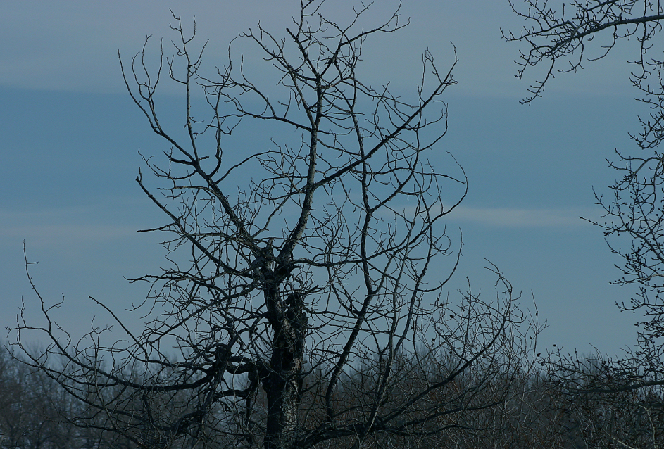 Fotografía por borbor para DesignCrowd (Community Contests) | Diseño #9097749