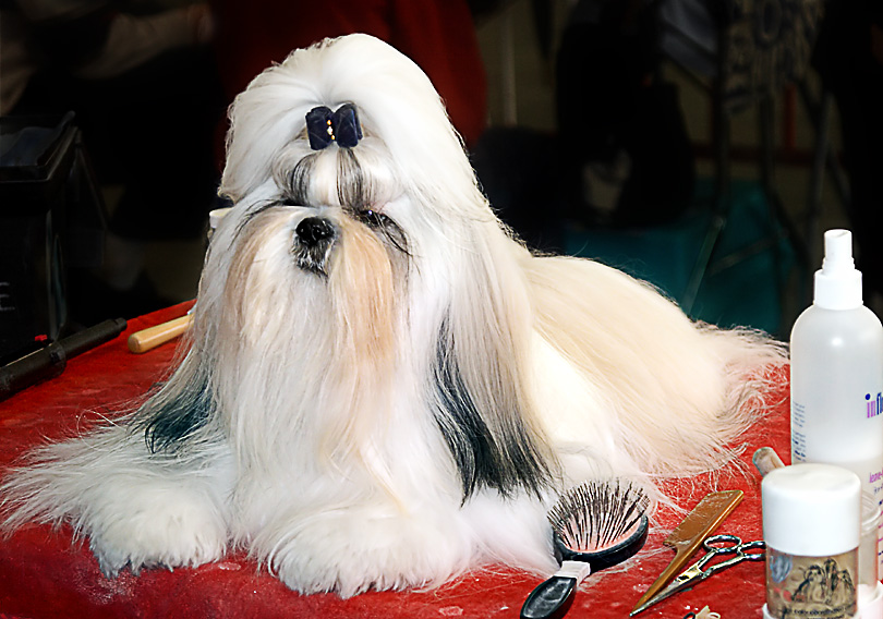 Photography by branie for DesignCrowd (Community Contests) | Design #9074361