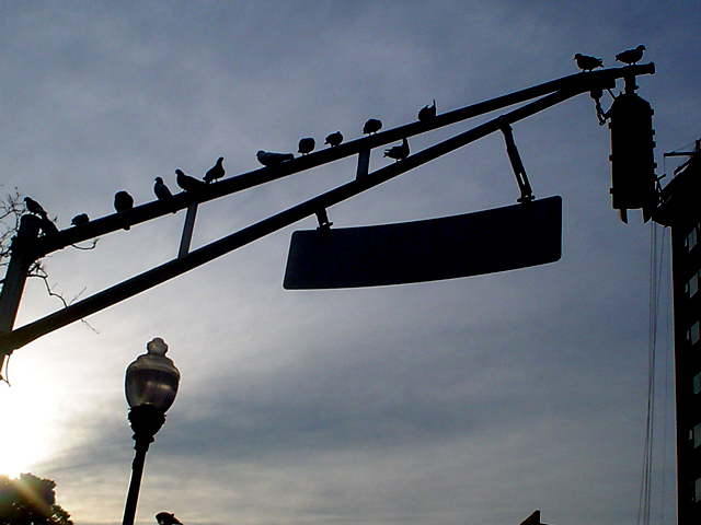 Fotografie von AlinaB7 für DesignCrowd (Community Contests) | Design #9097829