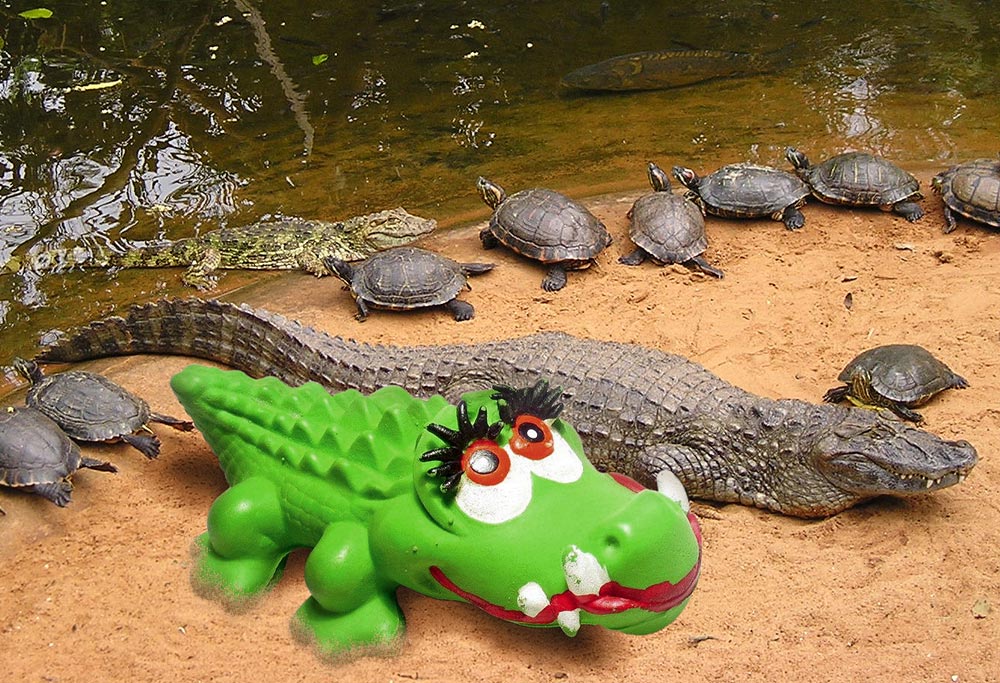 Design Photoshop par renatodornas pour DesignCrowd (Community Contests) | Design #9075218