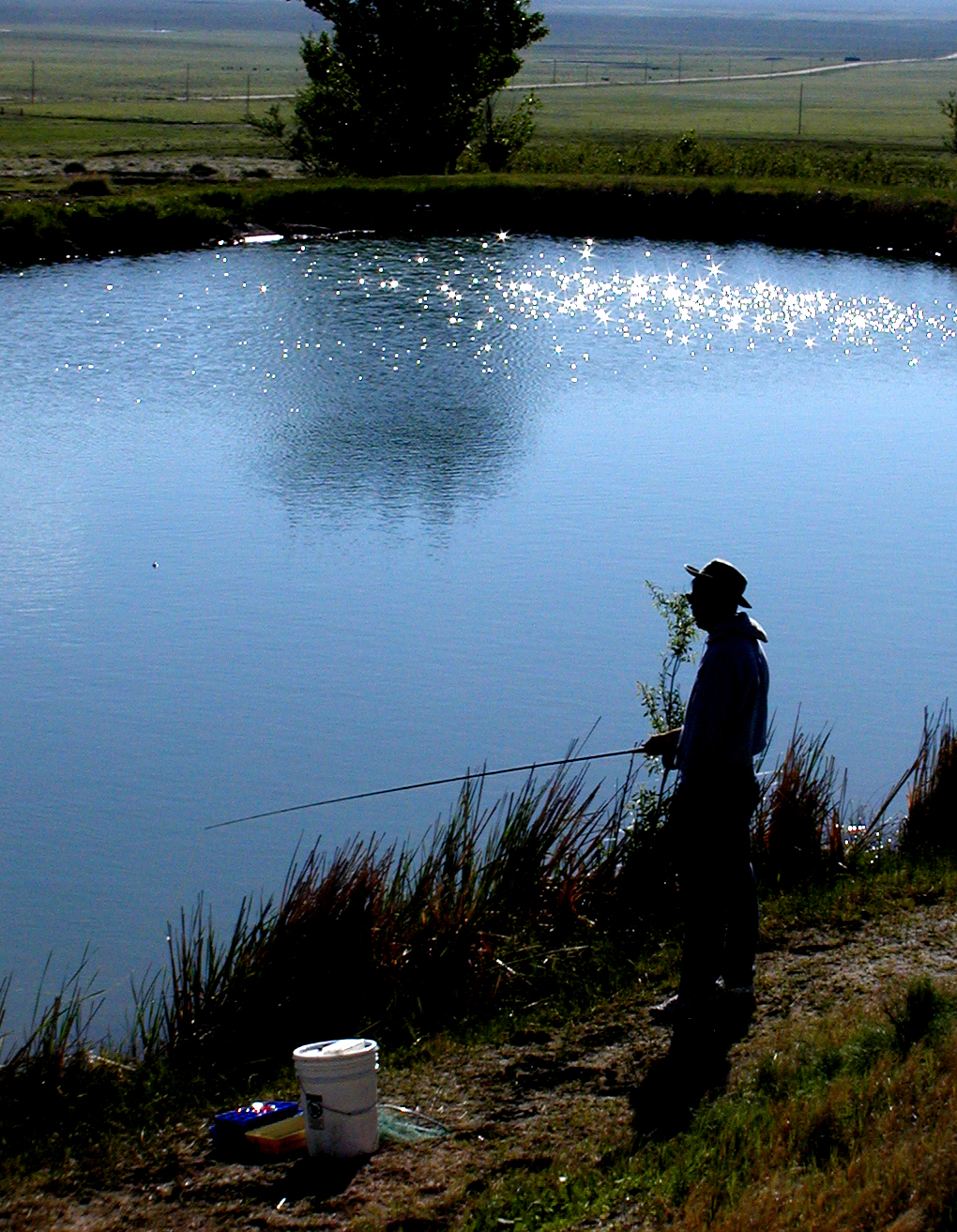 Photography by shutter123 for DesignCrowd (Community Contests) | Design #9097834