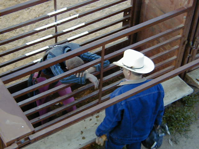 Photography by CheckMinus for DesignCrowd (Community Contests) | Design #9096730