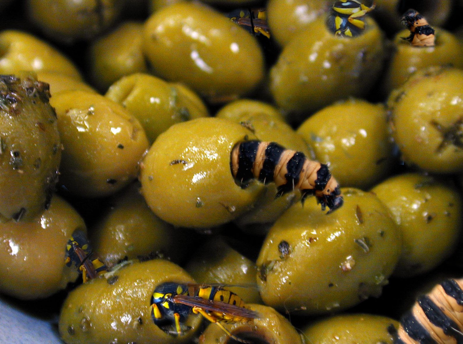 Design Photoshop par modine pour DesignCrowd (Community Contests) | Design #9074933