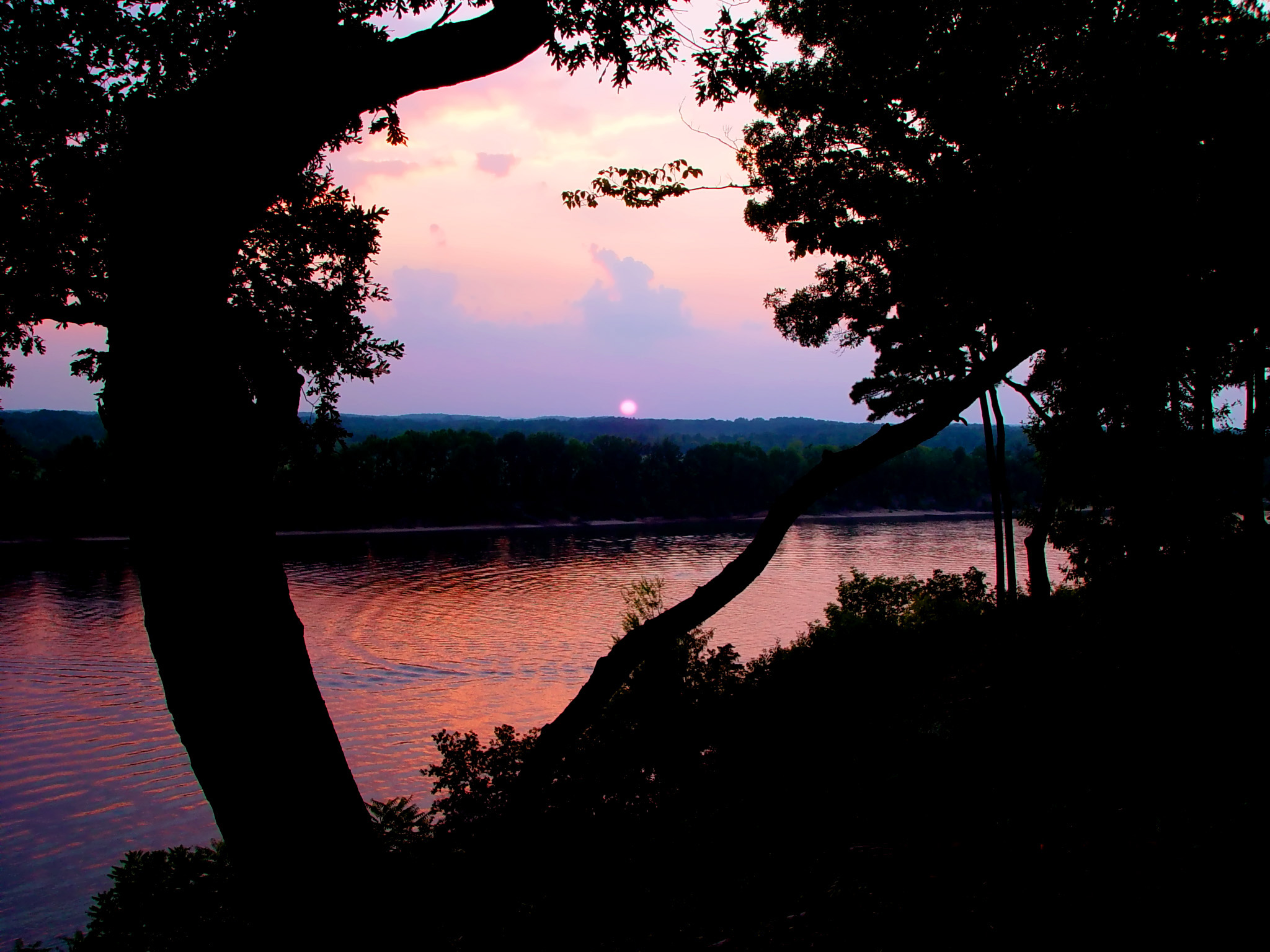 Photographie par modine pour DesignCrowd (Community Contests) | Design #9097900