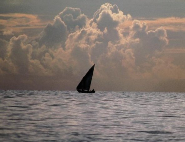 Photographie par niibiishan pour DesignCrowd (Community Contests) | Design #9097975