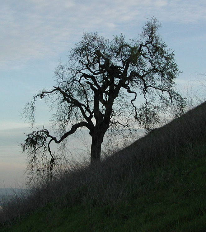 Photography by klxner for DesignCrowd (Community Contests) | Design #9097875