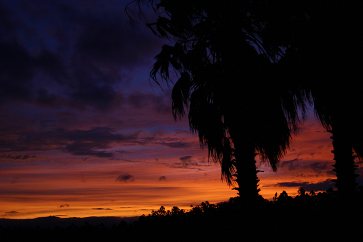 Photography by caiocamargo for DesignCrowd (Community Contests) | Design #9097930